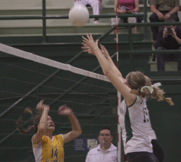 Volleyball loses to St. Francis in five games