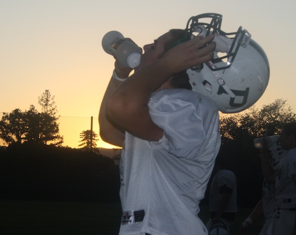 Scout team player Andrew Frick (14) takes a drink during a practice at Paly. Frick is the back up quarterback.