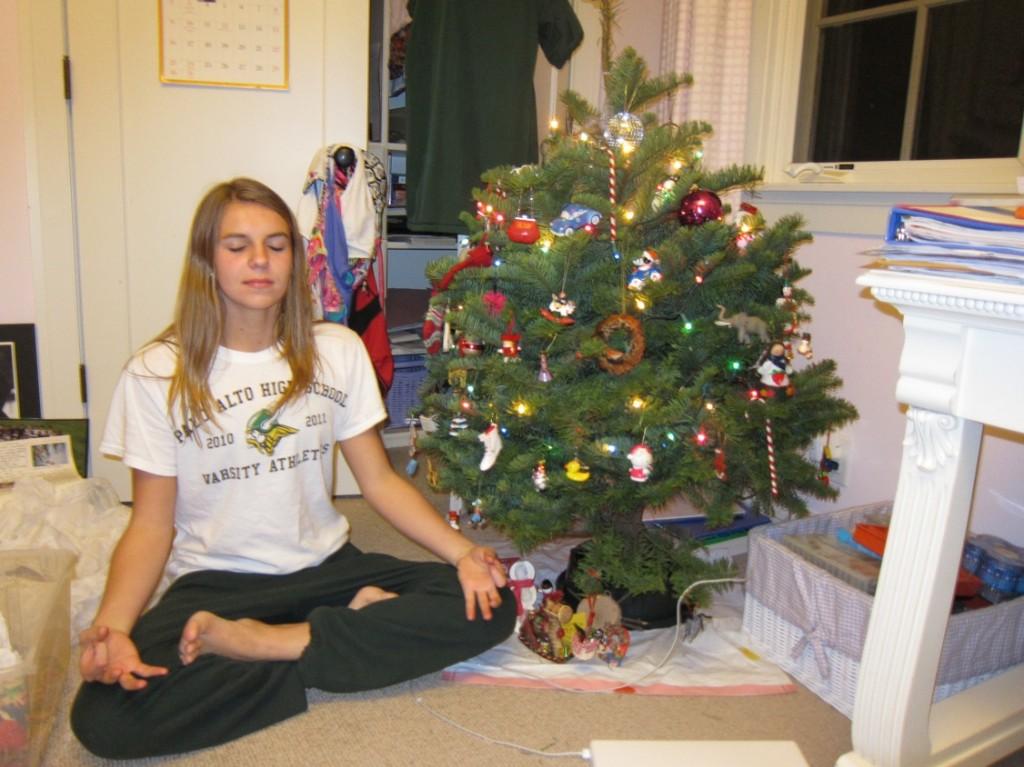 Columnist Shannon Scheel (12) is enlightened by the holiday spirit, and thus was inspired to write this weeks column about giving back. (Following the Dalai Lamas tweets might have been a helpful starting point!)