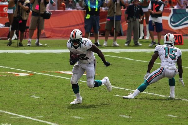 Miamis Reggie Bush carries the ball against the Oakland Raiders in the Dolphins 35-13 win, while rushing for 172 yards on 26 carries with 2 touchdowns in the game. Bush was one of the many players that signed with another team this off-season.