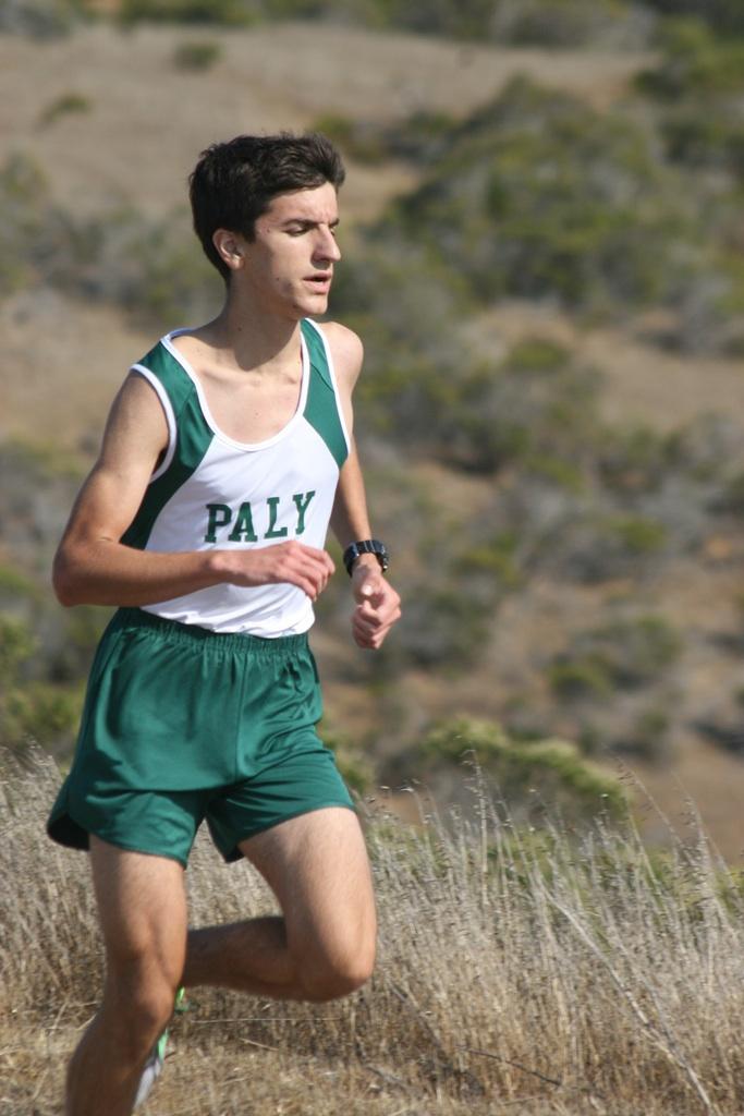 Jake Gurle (15) runs up a hill at the Crystal Spring course in the SCVAL El Camino League championship. He finished 30th overall and fifth for Paly with a time of 17:37 to help his team qualify for CCS.  