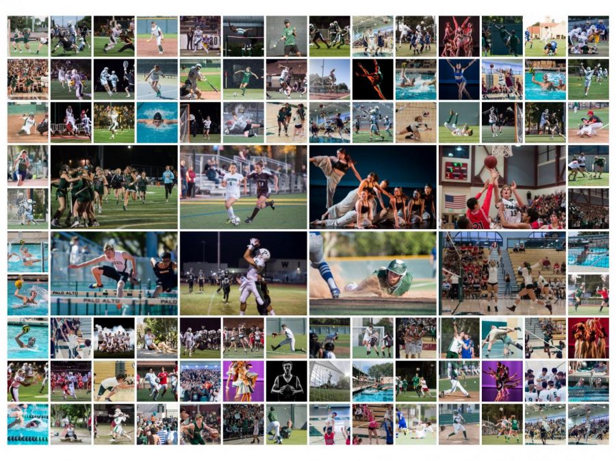 100 Paly Sports Photos over 4 Years