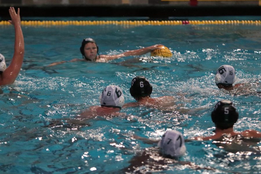 Boys Water Polo Loses to Harker 14-13