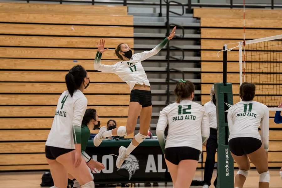 Girls Volleyball Season Preview