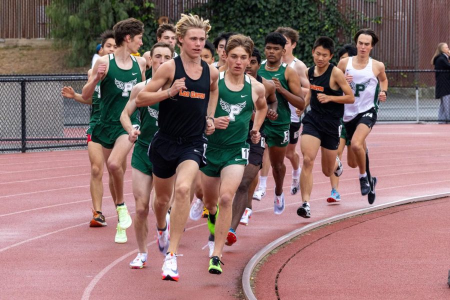 Paly+Track+Teams+Defeat+Milpitas