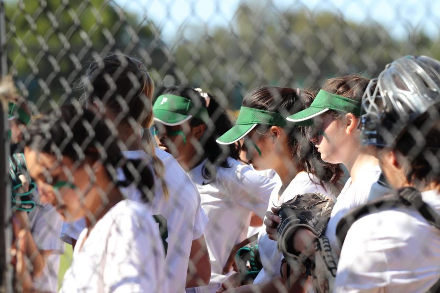 The softball team gathers in their dugout between innings on their senior night last Thursday. Photo by Grace Gormley.