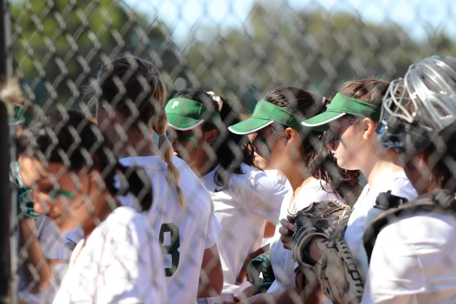 The Vikings gather in the dugout between innings. Photo by Grace Gormley. 