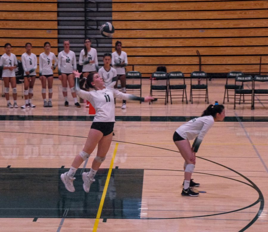 Paly girls volleyball loses to St. Francis 3-0