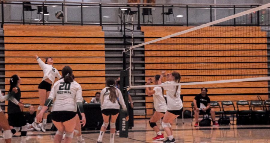 Paly girls volleyball defeated Cupertino 4-1