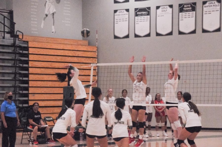 Paly Girls Volleyball Comeback Against Gunn