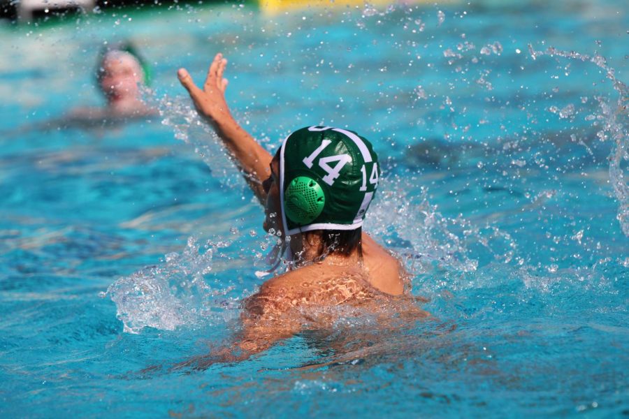 Paly Boys Water Polo Defeat Harker