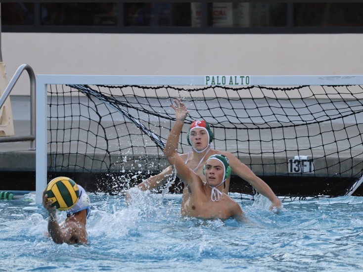 Paly Boys Water Polo falls to local rivals