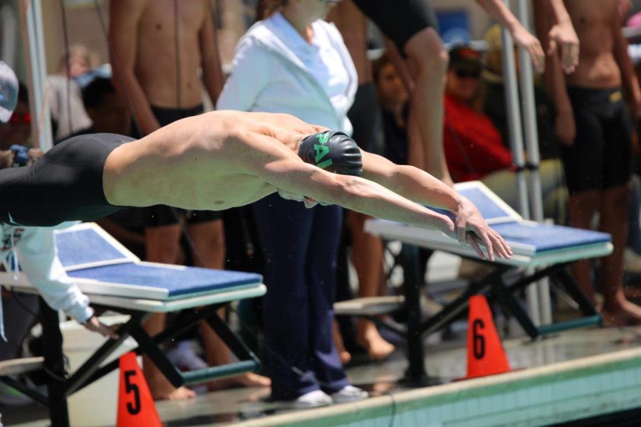 Senior Henry Gibbs dives in for a race at CCS in 2022. Photo by Grace Gormley. 