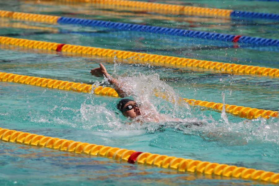 Senior JJ Stoen swims backstroke. Photo by Grace Gormley. 