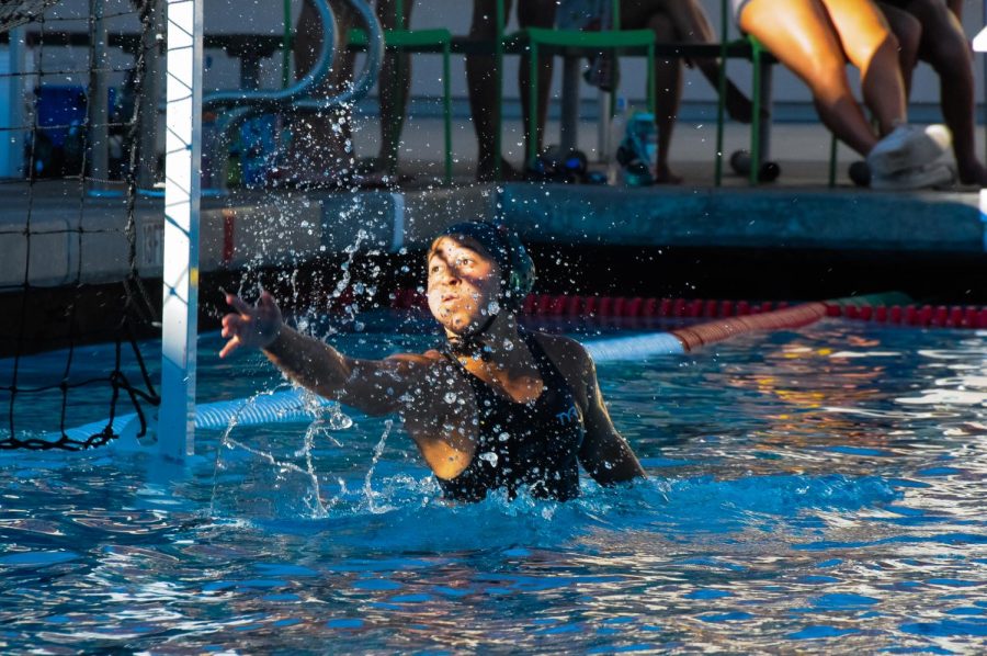 Paly Girls Water Polo Defeat Archbishop Mitty 15-8