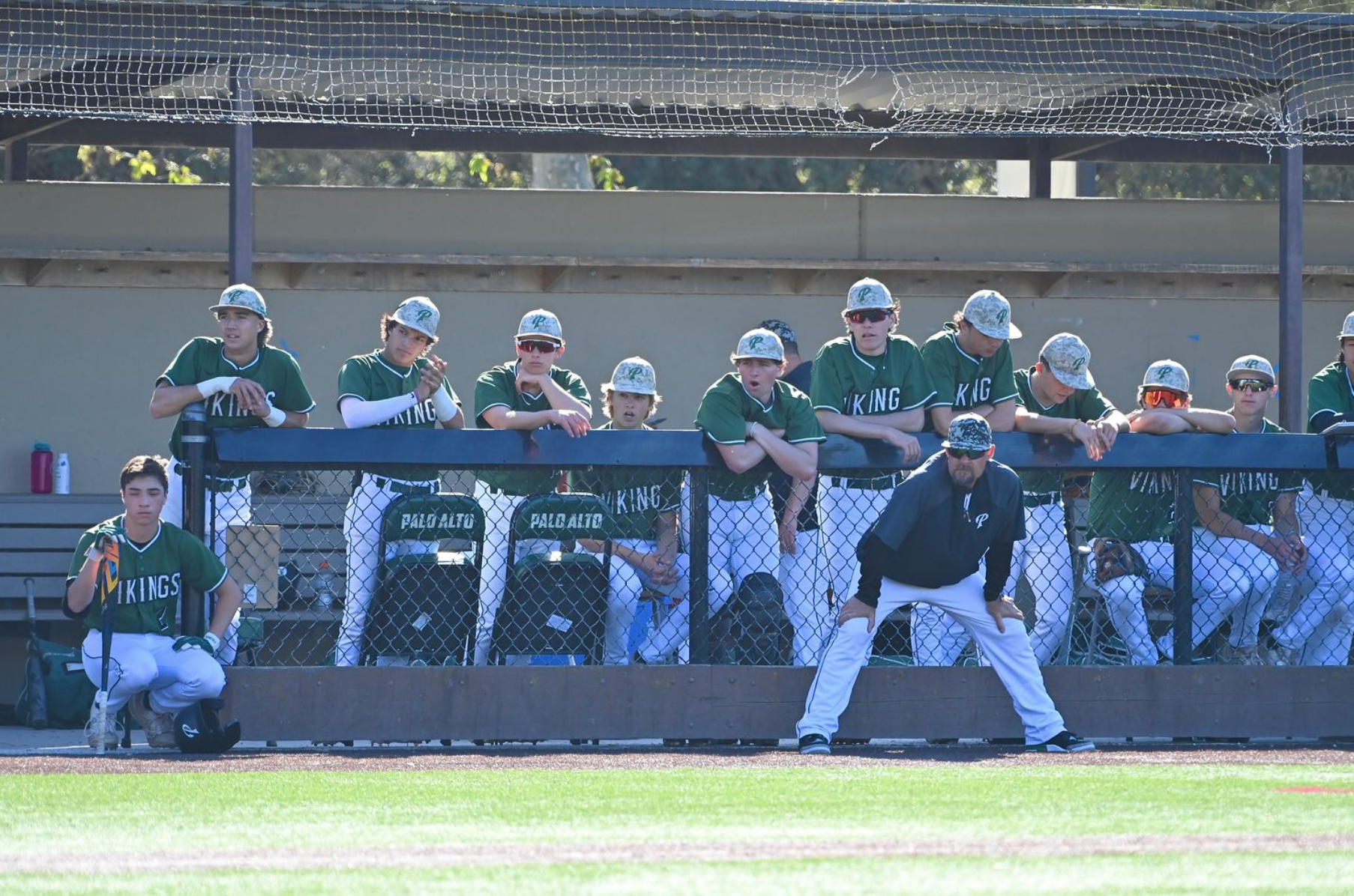 Paly Baseball Finishes Strong: Recap of 2023 Season Highlights and Playoffs Clash