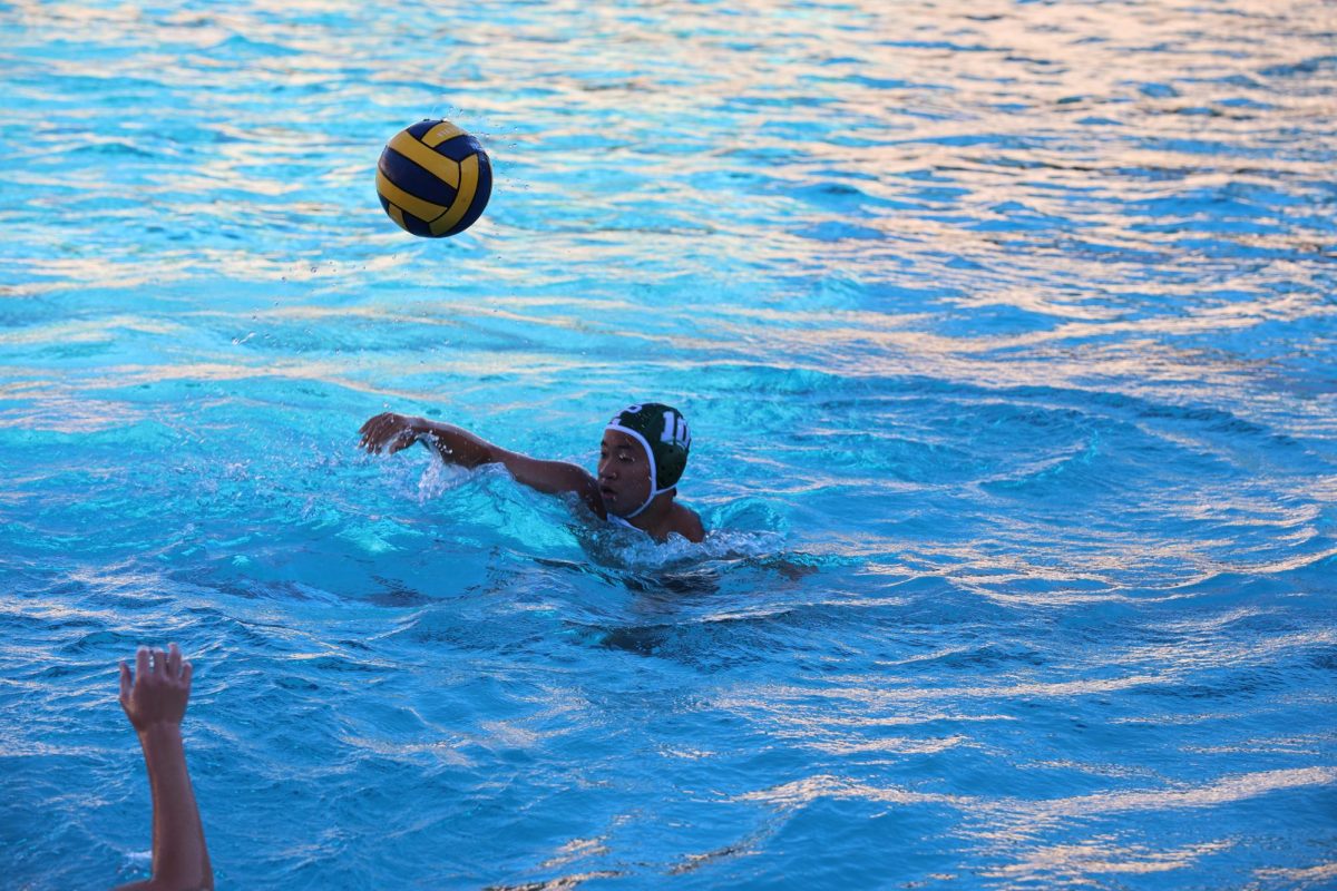 Paly Boys Water Polo loses to Los Altos 17-5