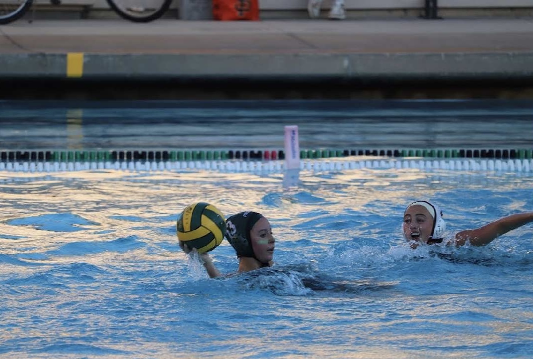 Paly Girls Water polo defeats Los Altos 15-7