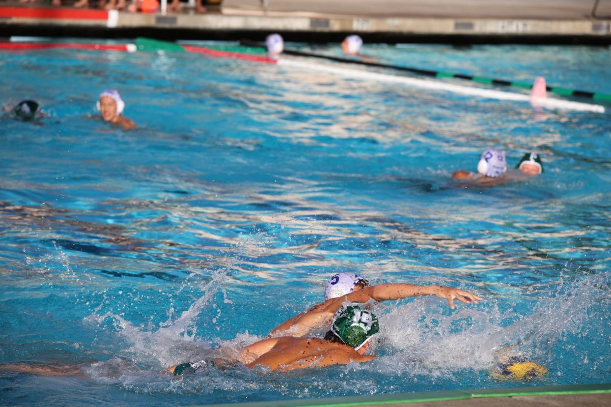 Paly loses to Gunn High School 12-6 on September 26.