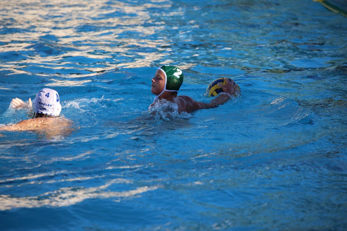 Paly Boys Water Polo Loses to Los Gatos 19-11