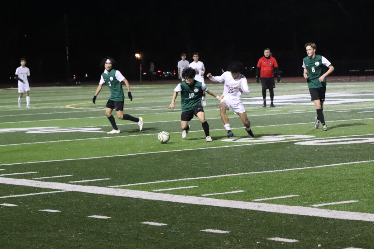 Palo Alto Falls 4-0 to Mountain View