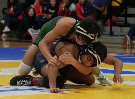 Boys Wrestling Season Recap