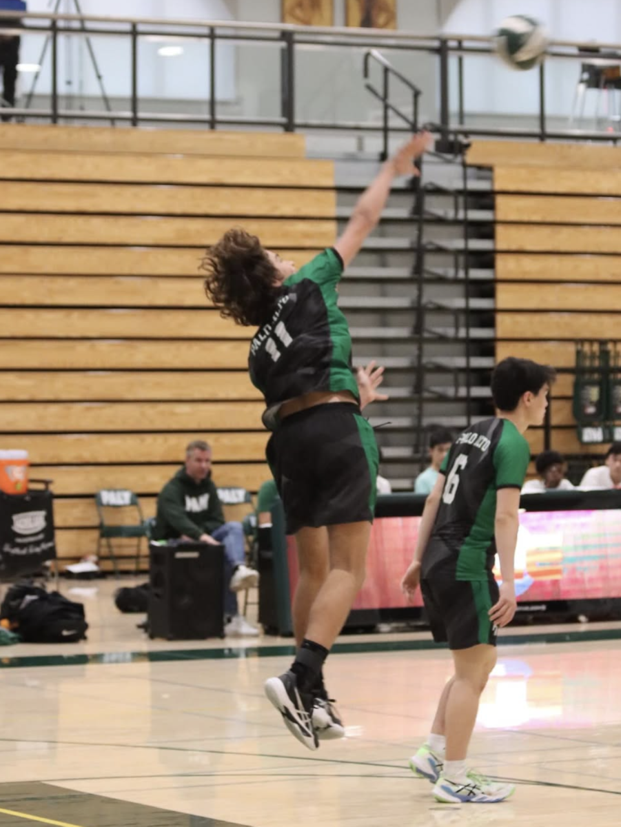 Sophomore setter Nico Resmini rises up high for serve. 