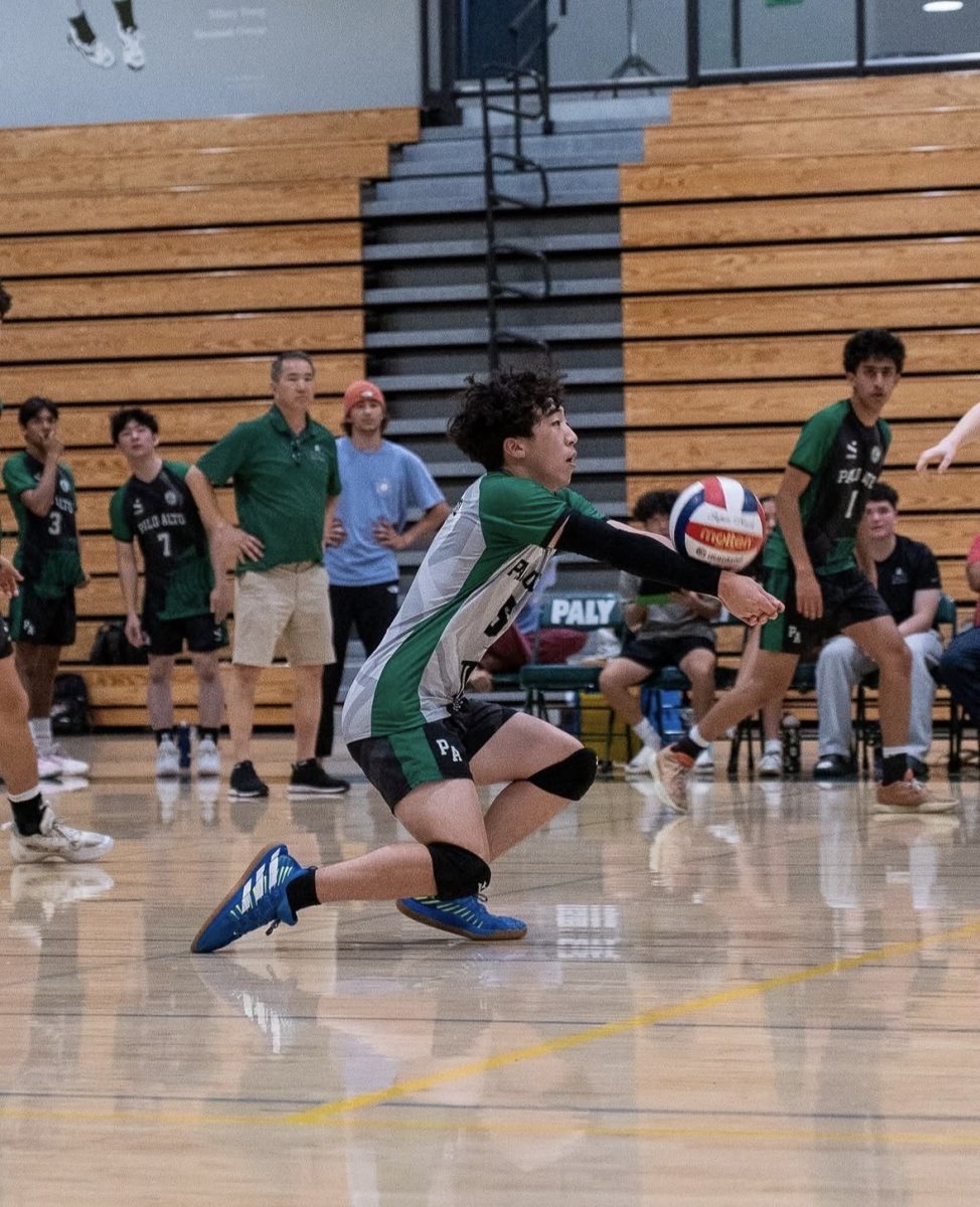 Palo Alto Boys Volleyball Takes Down Fremont 3-0