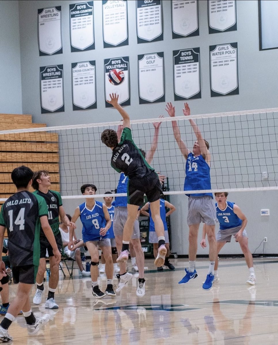 Paly Boys Volleyball defeats Los Alto 3-0 With an Unexpected Performance